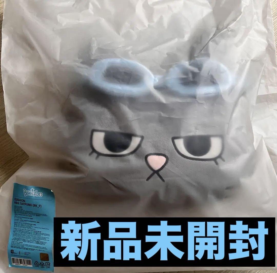 BOYNEXTDOOR HAN TATPUNG クッション クッション BOYNEXTDOOR BBNEXDO HAN TATPUNG CUSHION TATPUNG)
