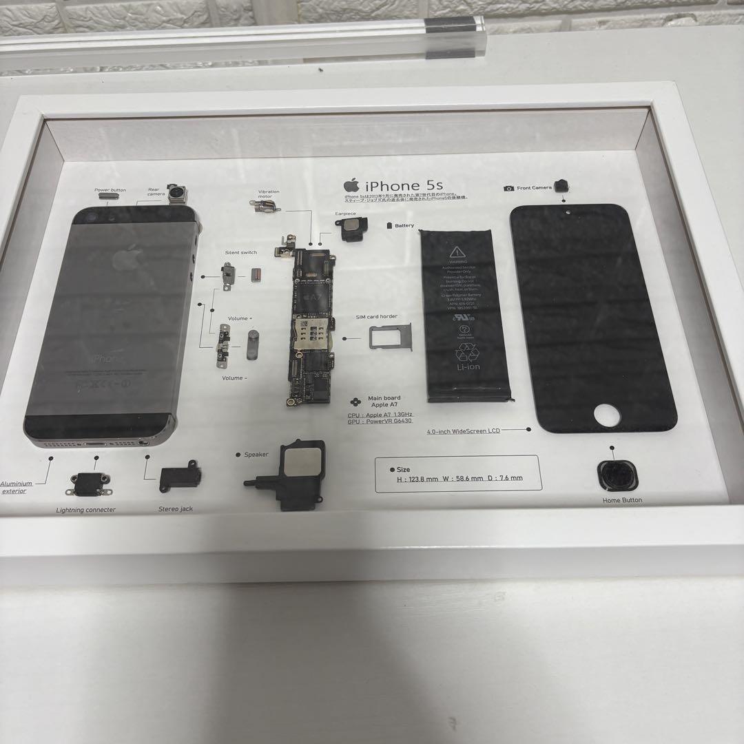 プレミアム端末】 iPhone 2G 標本アート 高級木製ボックスフレーム仕様