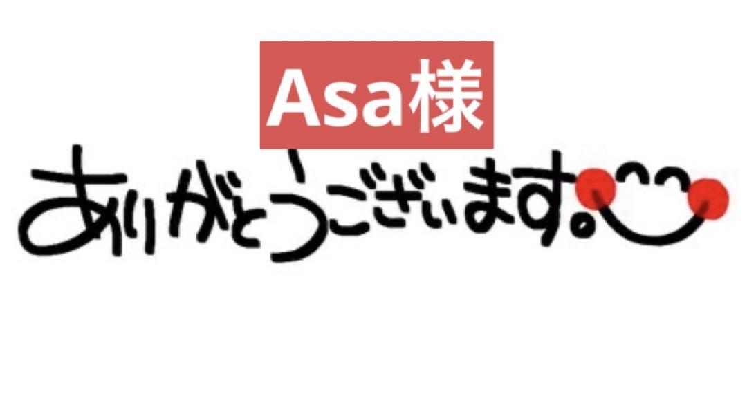 Asa様様専用 asa ハイエンドモデル収納棚付き塗装ブース asa様専用