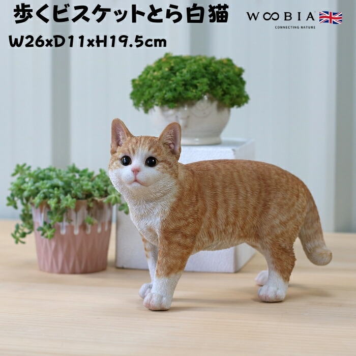 猫の写真 Amazon.co.jp: JAnjiaLxY セラミックねこの置物 かわいい ネコ
